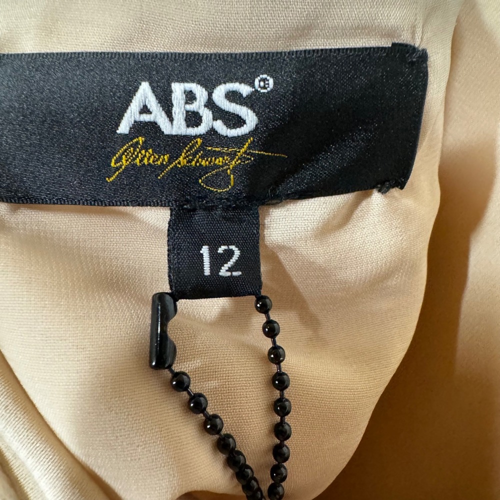 ABS by Allen Schwartz Daisy Lace Overlay Skirt Tan Lined A Line Size 12 - Picture 7 of 9